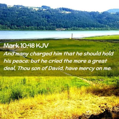 Picture 02 - Mark 10:48 KJV - And many charged him that he should hold his - Bible Verse Picture