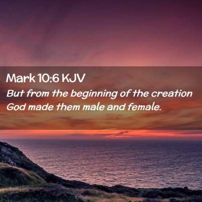 Picture 02 - Mark 10:6 KJV - But from the beginning of the creation God made - Bible Verse Picture