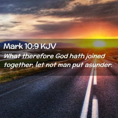 Picture 02 - Mark 10:9 KJV - What therefore God hath joined together, let not - Bible Verse Picture