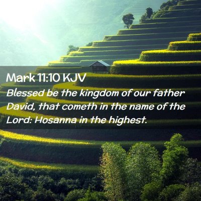 Picture 02 - Mark 11:10 KJV - Blessed be the kingdom of our father David, that - Bible Verse Picture