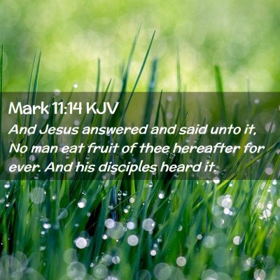 Picture 02 - Mark 11:14 KJV - And Jesus answered and said unto it, No man eat - Bible Verse Picture
