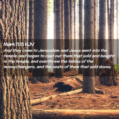 Picture 02 - Mark 11:15 KJV - And they come to Jerusalem: and Jesus went into - Bible Verse Picture