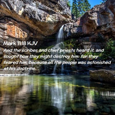 Picture 02 - Mark 11:18 KJV - And the scribes and chief priests heard it, and - Bible Verse Picture