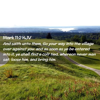 Picture 02 - Mark 11:2 KJV - And saith unto them, Go your way into the village - Bible Verse Picture