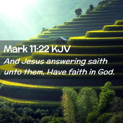Picture 02 - Mark 11:22 KJV - And Jesus answering saith unto them, Have faith - Bible Verse Picture
