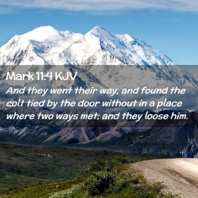 Picture 02 - Mark 11:4 KJV - And they went their way, and found the colt tied - Bible Verse Picture