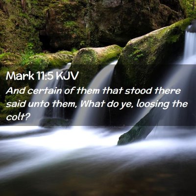 Picture 02 - Mark 11:5 KJV - And certain of them that stood there said unto - Bible Verse Picture