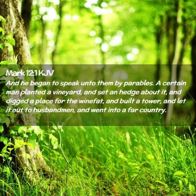 Picture 02 - Mark 12:1 KJV - And he began to speak unto them by parables. A - Bible Verse Picture