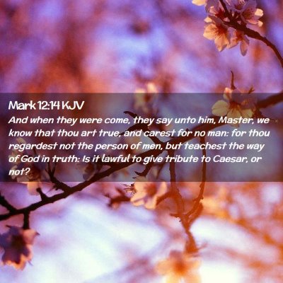 Picture 02 - Mark 12:14 KJV - And when they were come, they say unto him, - Bible Verse Picture