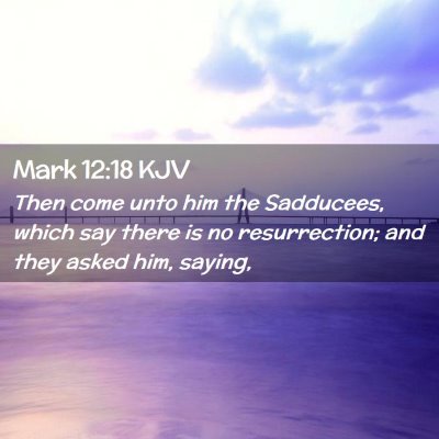 Picture 02 - Mark 12:18 KJV - Then come unto him the Sadducees, which say there - Bible Verse Picture