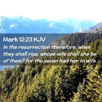 Picture 02 - Mark 12:23 KJV - In the resurrection therefore, when they shall - Bible Verse Picture