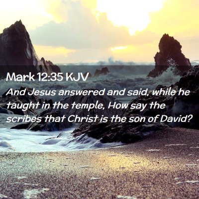 Picture 02 - Mark 12:35 KJV - And Jesus answered and said, while he taught in - Bible Verse Picture