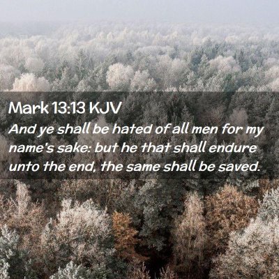 Picture 02 - Mark 13:13 KJV - And ye shall be hated of all men for my name's - Bible Verse Picture