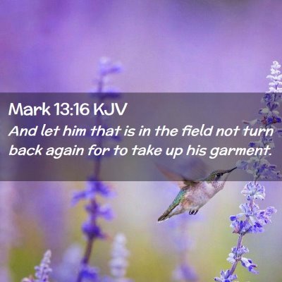 Picture 02 - Mark 13:16 KJV - And let him that is in the field not turn back - Bible Verse Picture