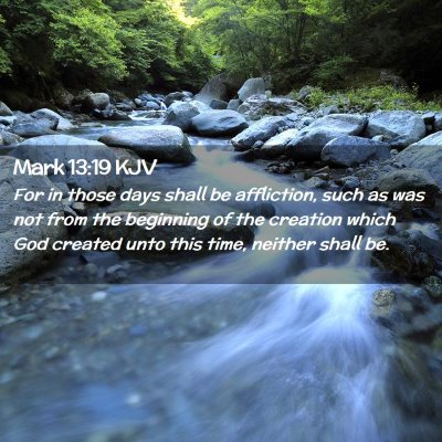 Picture 02 - Mark 13:19 KJV - For in those days shall be affliction, such as - Bible Verse Picture