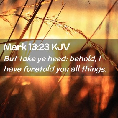 Picture 02 - Mark 13:23 KJV - But take ye heed: behold, I have foretold you all - Bible Verse Picture