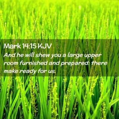 Picture 02 - Mark 14:15 KJV - And he will shew you a large upper room furnished - Bible Verse Picture