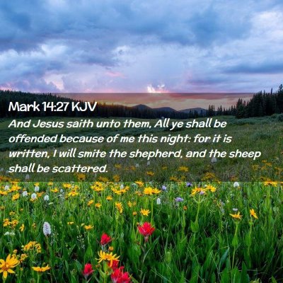 Picture 02 - Mark 14:27 KJV - And Jesus saith unto them, All ye shall be - Bible Verse Picture