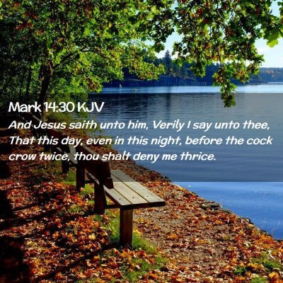 Picture 02 - Mark 14:30 KJV - And Jesus saith unto him, Verily I say unto thee, - Bible Verse Picture