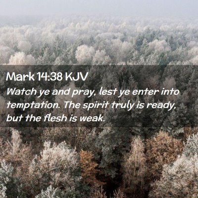 Picture 02 - Mark 14:38 KJV - Watch ye and pray, lest ye enter into temptation. - Bible Verse Picture