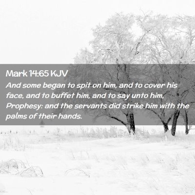 Picture 02 - Mark 14:65 KJV - And some began to spit on him, and to cover his - Bible Verse Picture