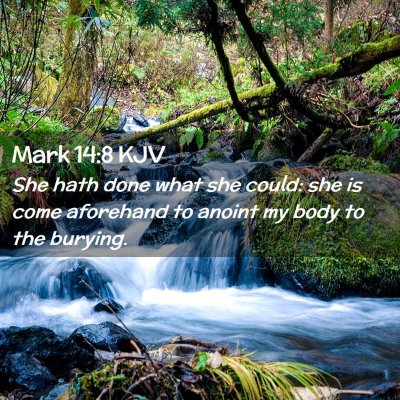 Picture 02 - Mark 14:8 KJV - She hath done what she could: she is come - Bible Verse Picture