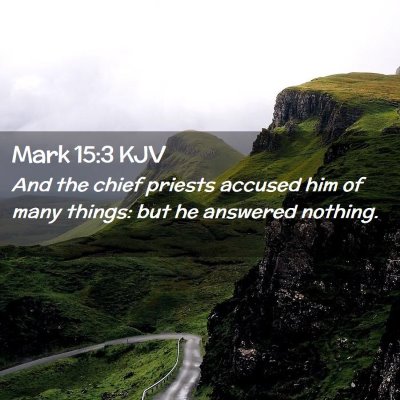 Picture 02 - Mark 15:3 KJV - And the chief priests accused him of many things: - Bible Verse Picture