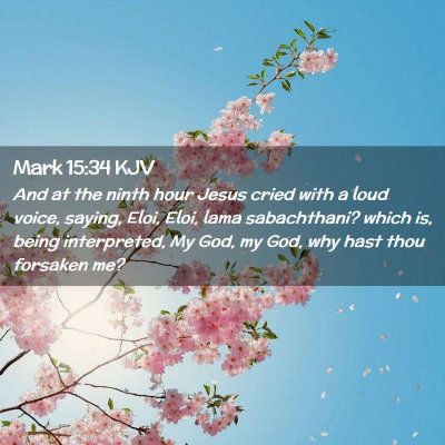 Picture 02 - Mark 15:34 KJV - And at the ninth hour Jesus cried with a loud - Bible Verse Picture