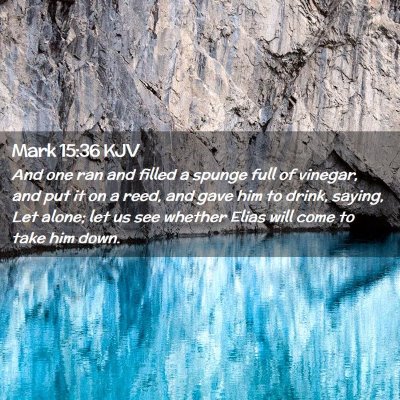 Picture 02 - Mark 15:36 KJV - And one ran and filled a spunge full of vinegar, - Bible Verse Picture