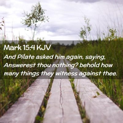 Picture 02 - Mark 15:4 KJV - And Pilate asked him again, saying, Answerest - Bible Verse Picture