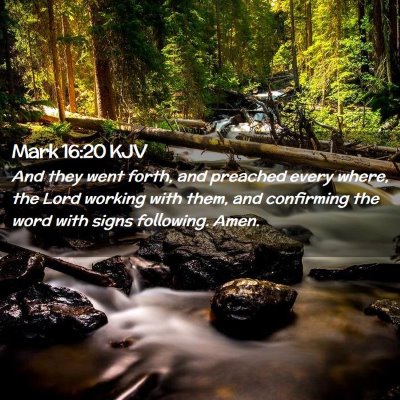 Picture 02 - Mark 16:20 KJV - And they went forth, and preached every where, - Bible Verse Picture