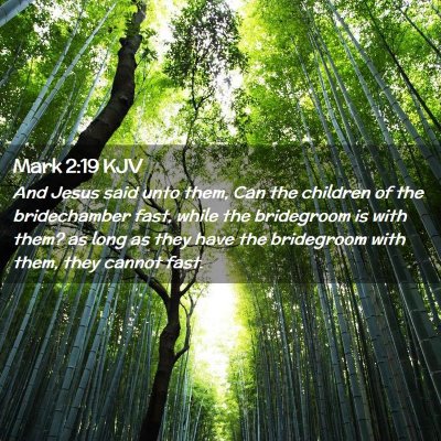 Picture 02 - Mark 2:19 KJV - And Jesus said unto them, Can the children of the - Bible Verse Picture