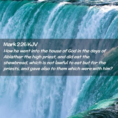 Picture 02 - Mark 2:26 KJV - How he went into the house of God in the days of - Bible Verse Picture