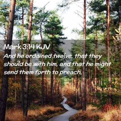 Picture 02 - Mark 3:14 KJV - And he ordained twelve, that they should be with - Bible Verse Picture