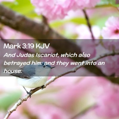 Picture 02 - Mark 3:19 KJV - And Judas Iscariot, which also betrayed him: and - Bible Verse Picture