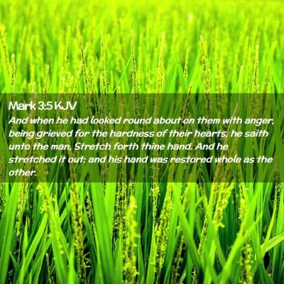 Picture 02 - Mark 3:5 KJV - And when he had looked round about on them with - Bible Verse Picture