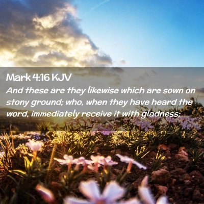 Picture 02 - Mark 4:16 KJV - And these are they likewise which are sown on - Bible Verse Picture