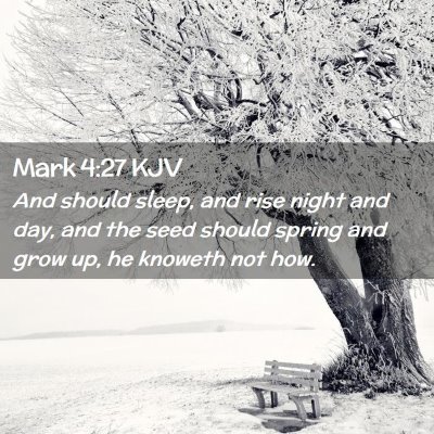 Picture 02 - Mark 4:27 KJV - And should sleep, and rise night and day, and the - Bible Verse Picture