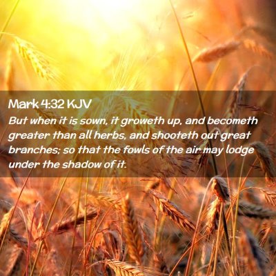 Picture 02 - Mark 4:32 KJV - But when it is sown, it groweth up, and becometh - Bible Verse Picture