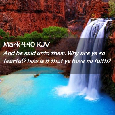 Picture 02 - Mark 4:40 KJV - And he said unto them, Why are ye so fearful? how - Bible Verse Picture