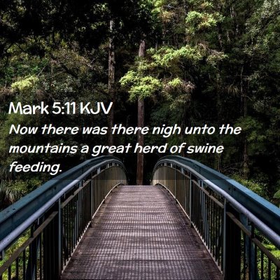 Picture 02 - Mark 5:11 KJV - Now there was there nigh unto the mountains a - Bible Verse Picture