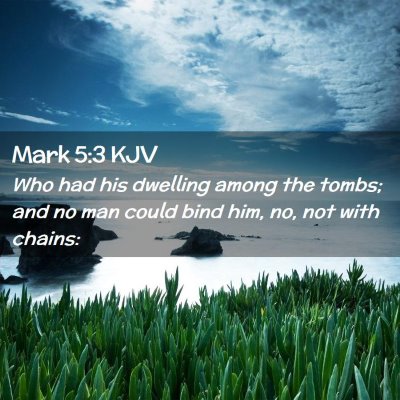 Picture 02 - Mark 5:3 KJV - Who had his dwelling among the tombs; and no man - Bible Verse Picture