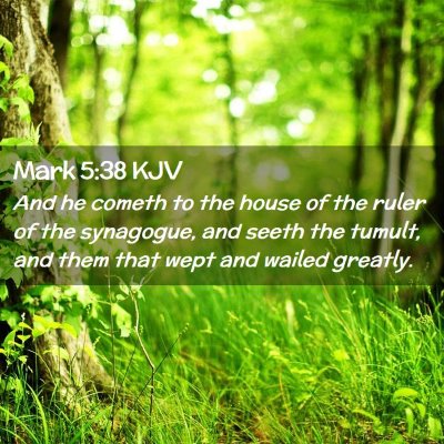 Picture 02 - Mark 5:38 KJV - And he cometh to the house of the ruler of the - Bible Verse Picture