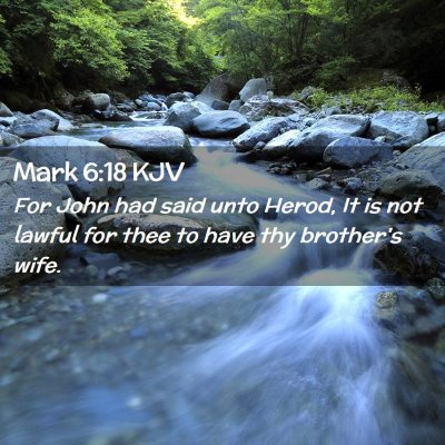 Picture 02 - Mark 6:18 KJV - For John had said unto Herod, It is not lawful - Bible Verse Picture