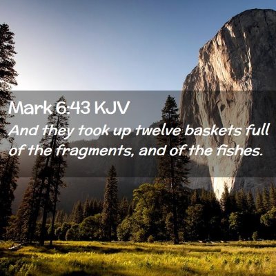 Picture 02 - Mark 6:43 KJV - And they took up twelve baskets full of the - Bible Verse Picture