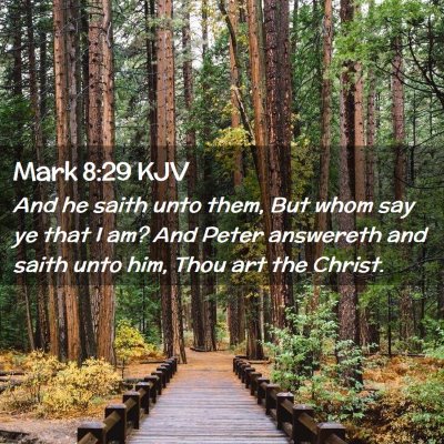 Picture 02 - Mark 8:29 KJV - And he saith unto them, But whom say ye that I - Bible Verse Picture