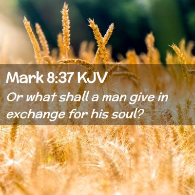Picture 02 - Mark 8:37 KJV - Or what shall a man give in exchange for his - Bible Verse Picture