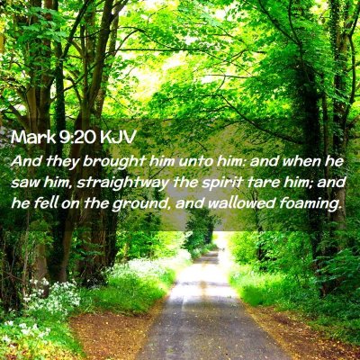 Picture 02 - Mark 9:20 KJV - And they brought him unto him: and when he saw - Bible Verse Picture