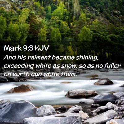 Picture 02 - Mark 9:3 KJV - And his raiment became shining, exceeding white - Bible Verse Picture