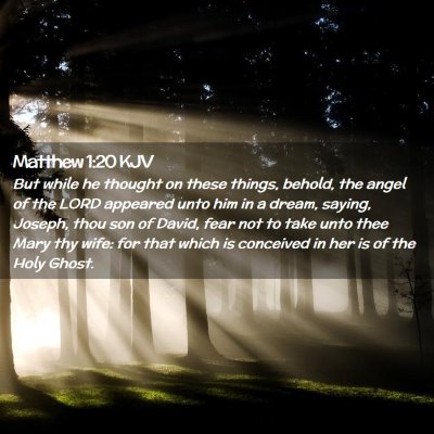 Picture 02 - Matthew 1:20 KJV - But while he thought on these things, behold, the - Bible Verse Picture